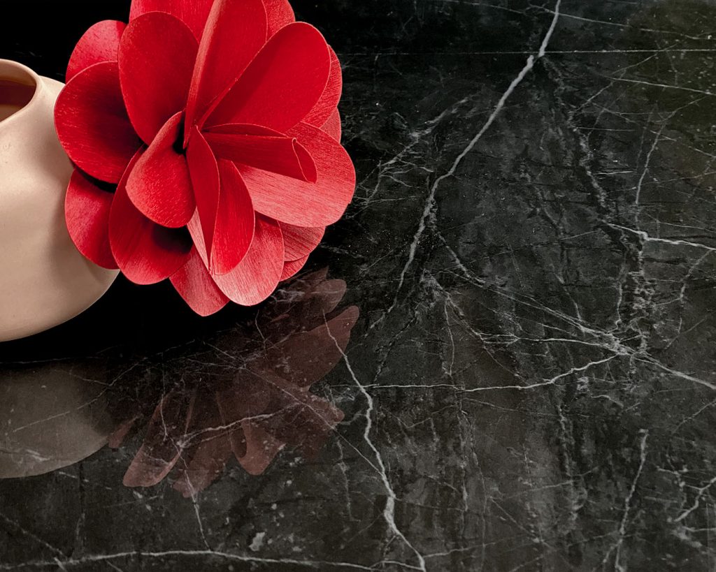 Copertina Marmi Pregiati Nero Marquinia con vaso rosa in ceramica e fiore di carta rosso per accedere alla pagina della serie