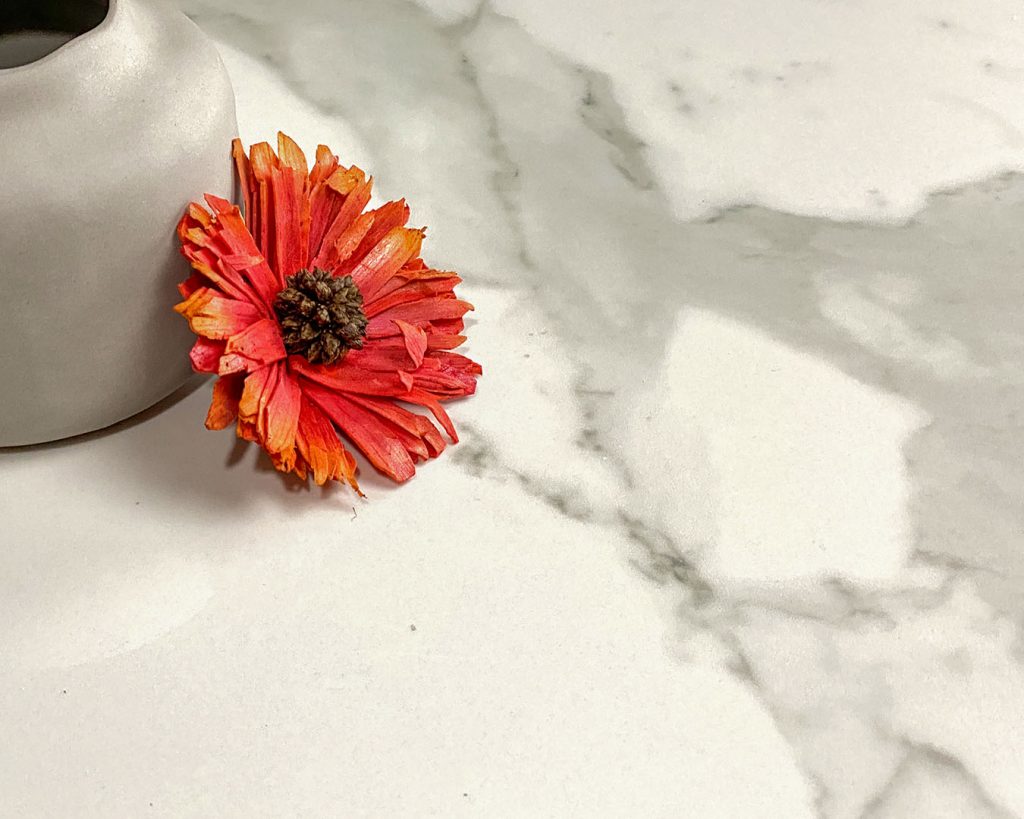 Copertina Marmi Pregiati Statuario con fiore arancione per accedere alla pagina della serie